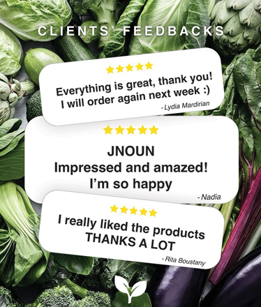 feedback