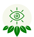 high vision