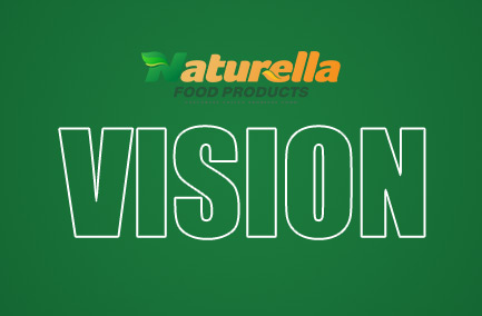 vision01